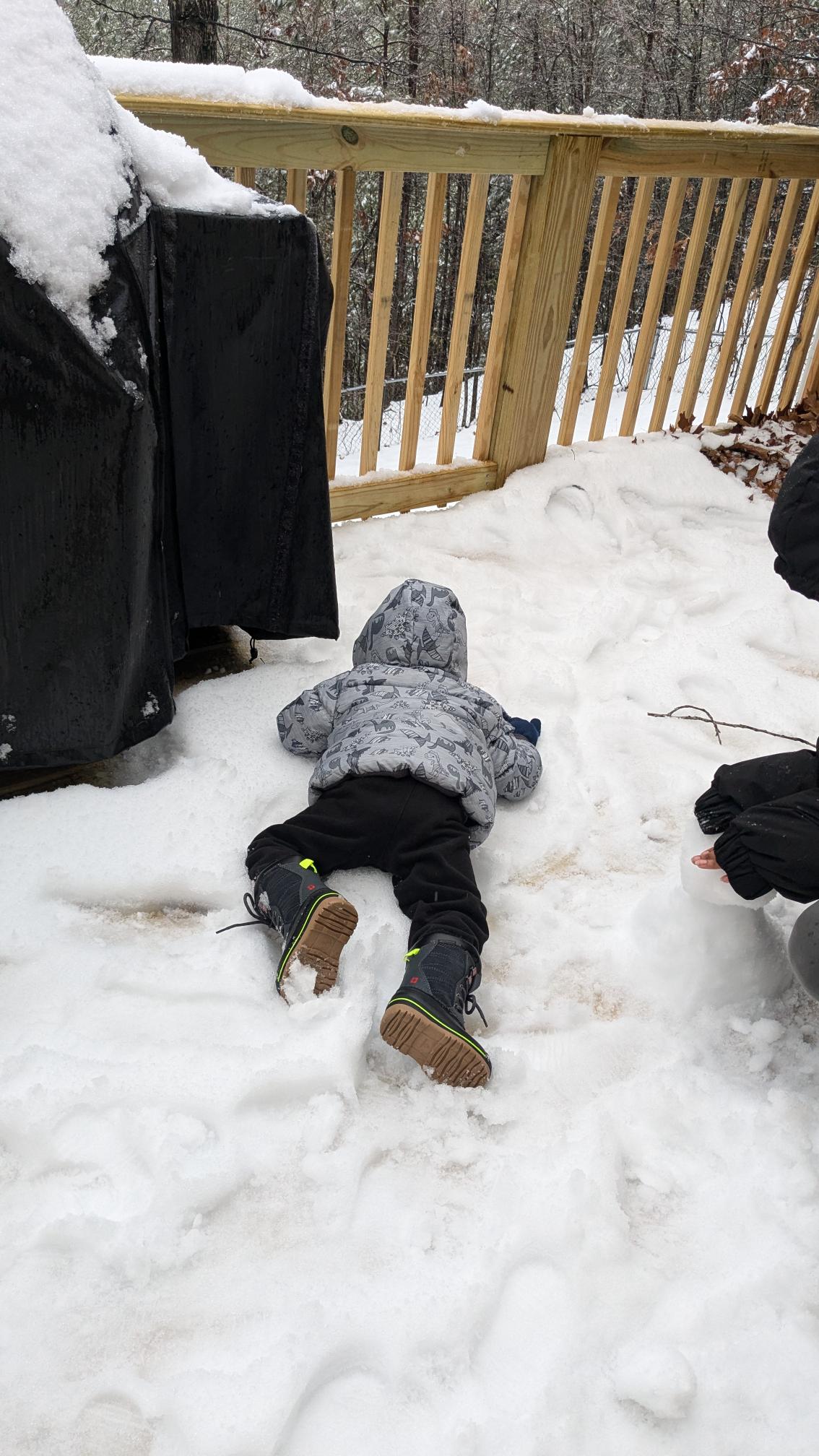 Snow Day in Pelham January 10, 2024