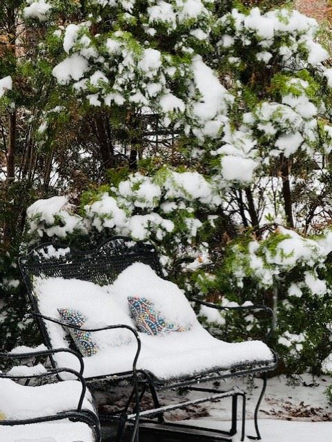 Snow Day in Pelham January 10, 2024